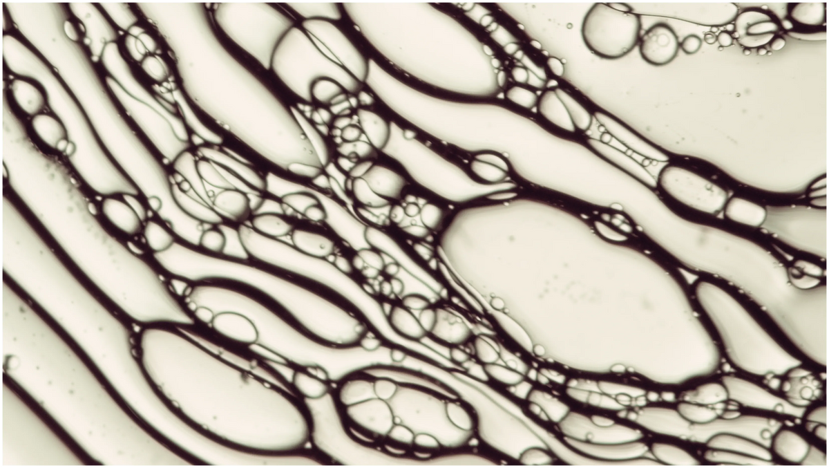 Dermokozmetikai aktívok